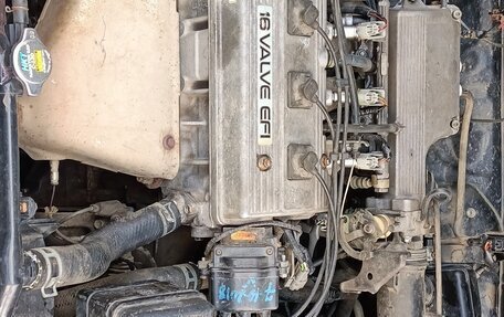 Toyota Corona IX (T190), 1994 год, 280 000 рублей, 13 фотография