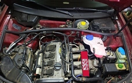 Volkswagen Passat B5+ рестайлинг, 1998 год, 265 000 рублей, 3 фотография