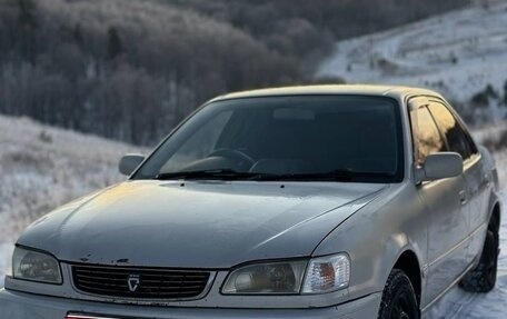 Toyota Corolla, 1998 год, 317 000 рублей, 1 фотография