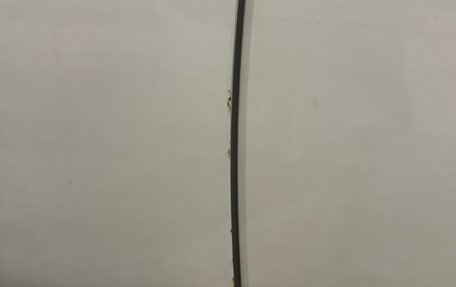 Ford Focus III, 2016 год, 680 000 рублей, 8 фотография