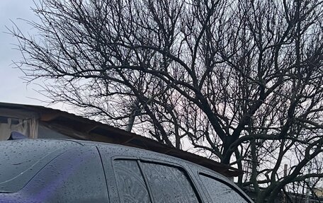 Renault Clio III, 2002 год, 315 000 рублей, 3 фотография