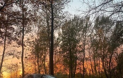 Ford Focus II рестайлинг, 2006 год, 455 500 рублей, 1 фотография