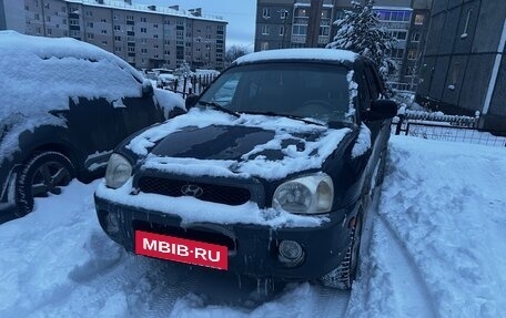 Hyundai Santa Fe III рестайлинг, 2004 год, 400 000 рублей, 2 фотография