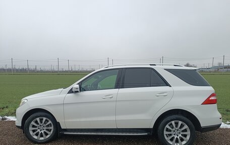 Mercedes-Benz M-Класс, 2014 год, 2 550 000 рублей, 29 фотография