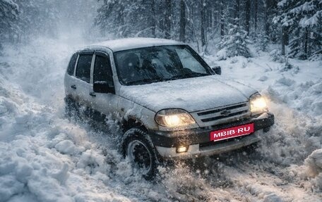 Chevrolet Niva I рестайлинг, 2003 год, 250 000 рублей, 3 фотография