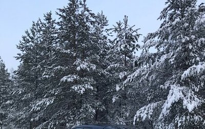 Honda Civic VIII, 2008 год, 770 000 рублей, 1 фотография