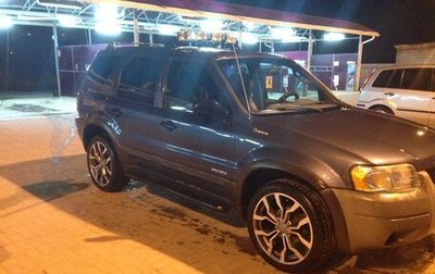 Ford Escape II, 2001 год, 349 000 рублей, 1 фотография