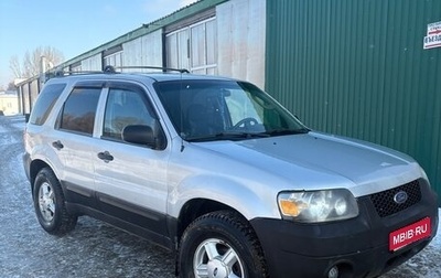 Ford Escape II, 2005 год, 480 000 рублей, 1 фотография