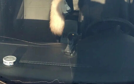 Volkswagen Passat B5+ рестайлинг, 2002 год, 500 000 рублей, 5 фотография