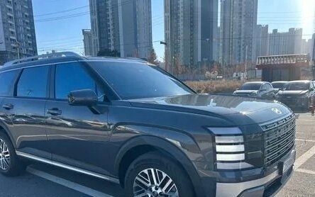 Hyundai Palisade, 2025 год, 7 600 000 рублей, 3 фотография