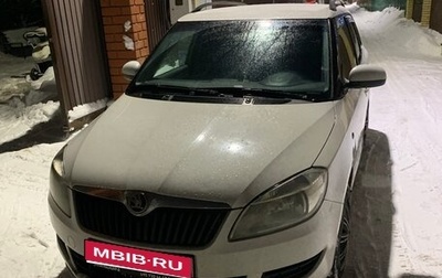 Skoda Fabia II, 2013 год, 510 000 рублей, 1 фотография