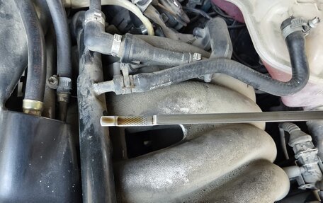 Volkswagen Passat B5+ рестайлинг, 1997 год, 350 000 рублей, 20 фотография