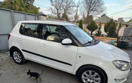 Skoda Fabia II, 2010 год, 550 000 рублей, 4 фотография