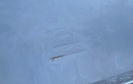 Toyota Vitz, 2006 год, 550 000 рублей, 16 фотография