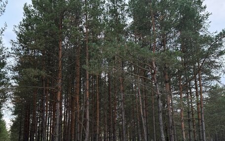 Hyundai Santa Fe IV, 2019 год, 3 990 000 рублей, 5 фотография