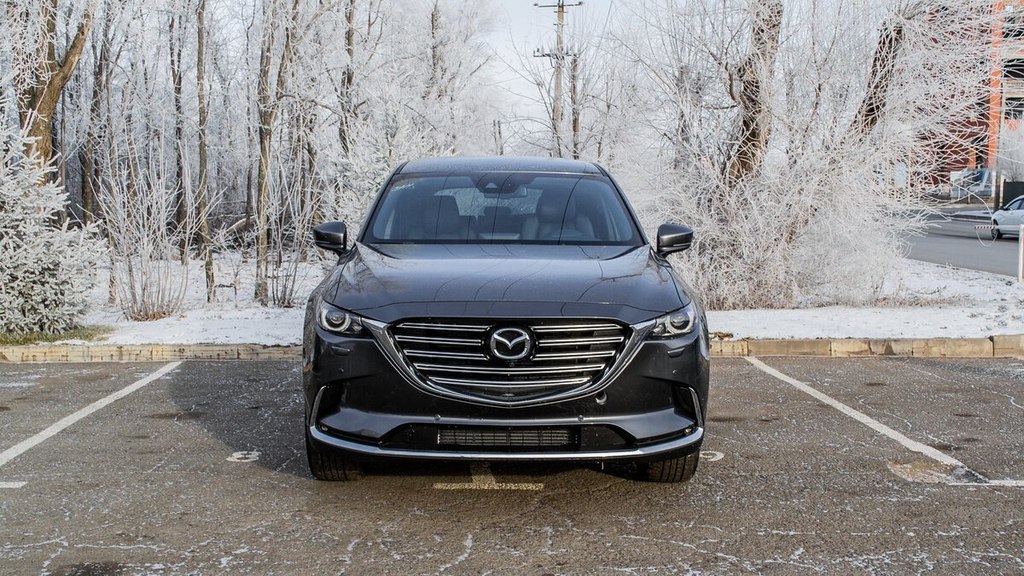Mazda CX-9 II, 2019 год, 800 000 рублей, 1 фотография