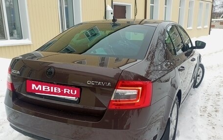 Skoda Octavia, 2017 год, 1 700 000 рублей, 5 фотография