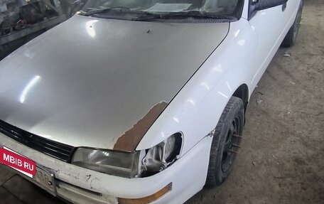 Toyota Corolla, 1999 год, 240 000 рублей, 2 фотография