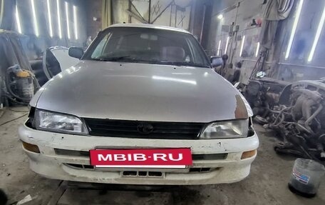 Toyota Corolla, 1999 год, 240 000 рублей, 3 фотография