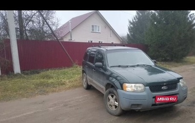 Ford Escape II, 2002 год, 250 000 рублей, 1 фотография