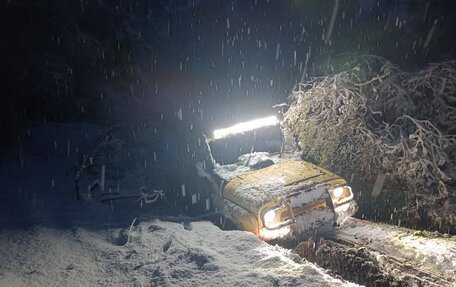 ЛуАЗ 3151, 1995 год, 300 000 рублей, 5 фотография