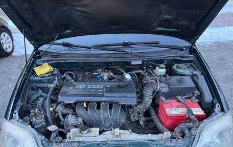 Toyota Corolla, 2003 год, 450 000 рублей, 16 фотография