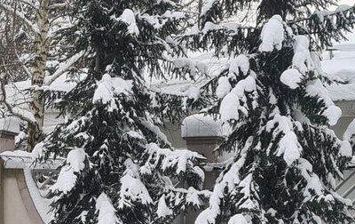 Mercedes-Benz E-Класс, 2004 год, 1 100 000 рублей, 1 фотография