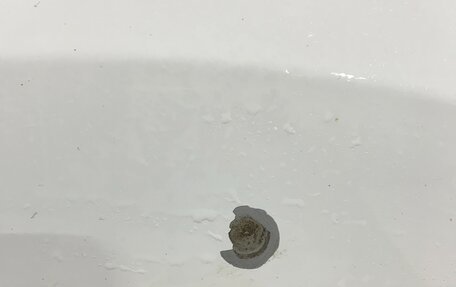 Volkswagen Polo VI (EU Market), 2018 год, 1 350 000 рублей, 5 фотография