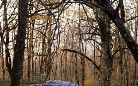 Mercedes-Benz W123, 1980 год, 1 300 000 рублей, 8 фотография