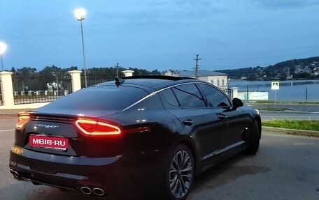 KIA Stinger I, 2019 год, 3 100 000 рублей, 1 фотография