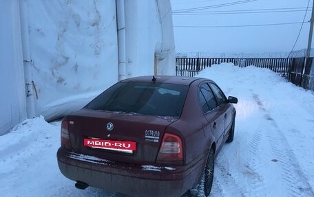 Skoda Octavia IV, 2000 год, 410 000 рублей, 3 фотография
