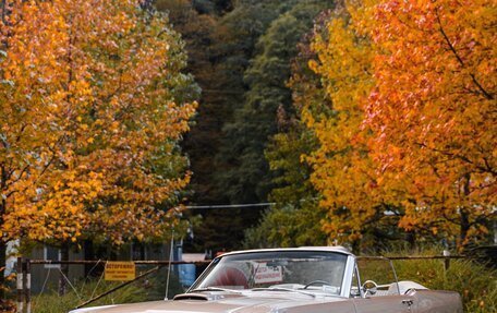 Ford Mustang VI рестайлинг, 1966 год, 12 500 000 рублей, 1 фотография