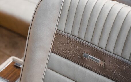 Ford Mustang VI рестайлинг, 1966 год, 12 500 000 рублей, 19 фотография