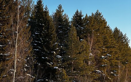 BMW 1 серия, 2013 год, 930 000 рублей, 5 фотография