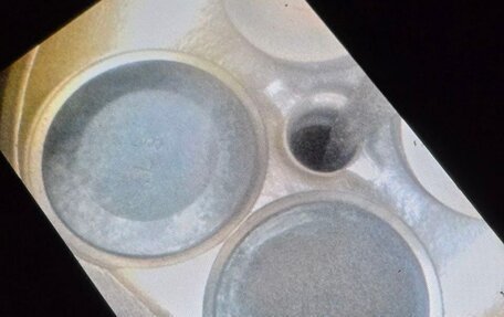 Mazda 6, 2004 год, 180 000 рублей, 13 фотография