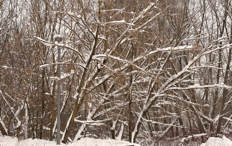 BMW 3 серия, 2004 год, 680 000 рублей, 5 фотография