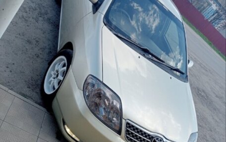 Toyota Corolla, 2001 год, 430 000 рублей, 1 фотография