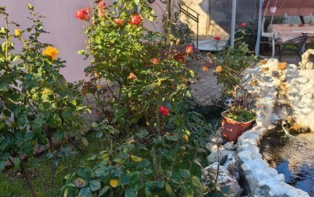 Renault Sandero II рестайлинг, 2016 год, 1 100 000 рублей, 8 фотография