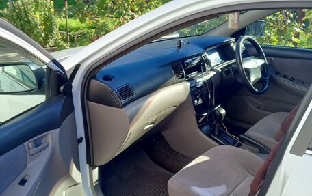 Toyota Corolla, 2002 год, 450 000 рублей, 1 фотография