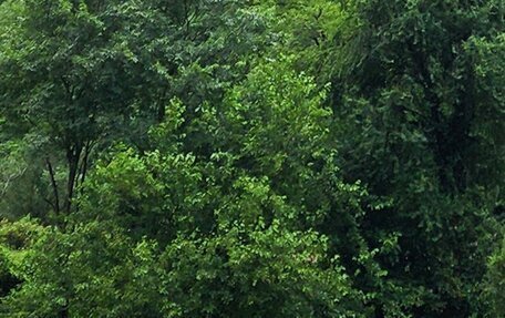 KIA Rio IV, 2018 год, 1 800 000 рублей, 31 фотография