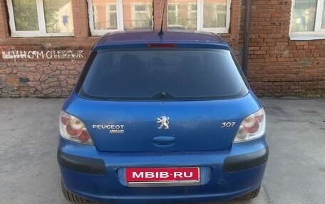 Peugeot 307 I, 2004 год, 1 фотография