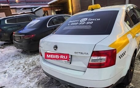 Skoda Octavia, 2019 год, 910 000 рублей, 2 фотография