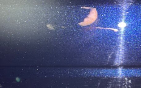 Land Rover Range Rover IV рестайлинг, 2014 год, 3 100 000 рублей, 17 фотография