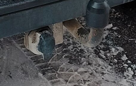 Renault Kangoo II рестайлинг, 2006 год, 425 000 рублей, 4 фотография