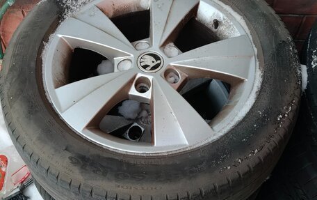 Skoda Octavia IV, 2021 год, 1 549 000 рублей, 14 фотография