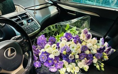 Lexus NX I, 2015 год, 2 501 111 рублей, 1 фотография