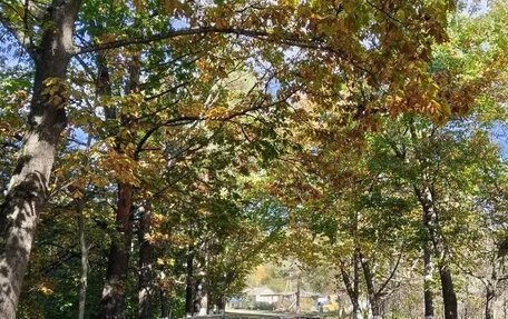 Ford Focus II рестайлинг, 2007 год, 1 200 000 рублей, 3 фотография