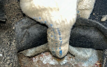 Ford Focus II рестайлинг, 2010 год, 438 777 рублей, 26 фотография