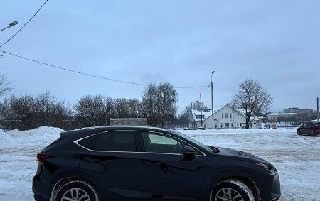 Lexus NX I, 2020 год, 3 900 000 рублей, 5 фотография