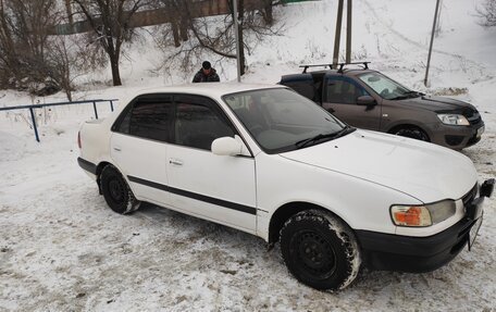 Toyota Corolla, 1995 год, 300 000 рублей, 1 фотография
